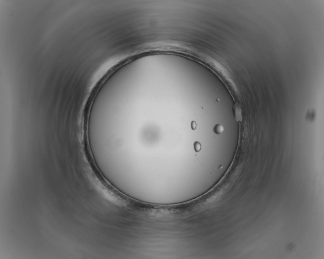 X0000090911082200708201735