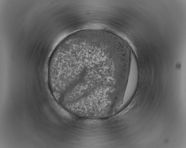 X0000090911083200708201735