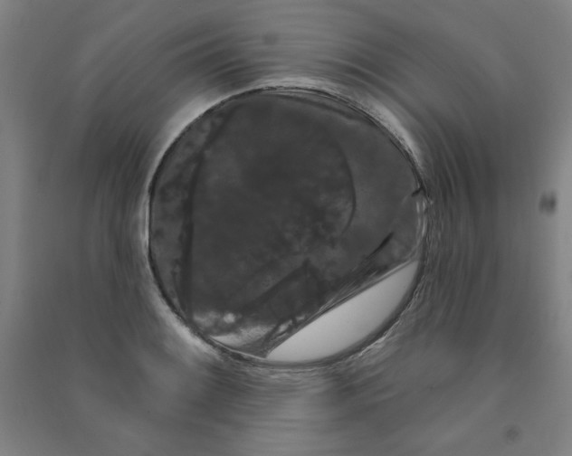 X0000090911084200708201735