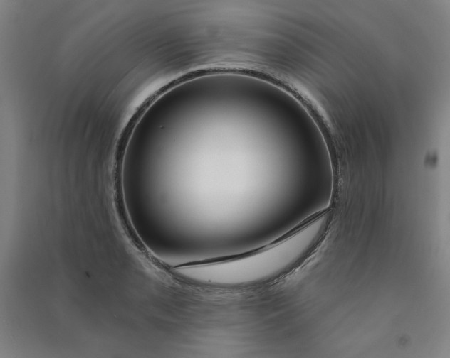 X0000090911085200708201735