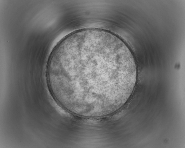 X0000090911086200708201735