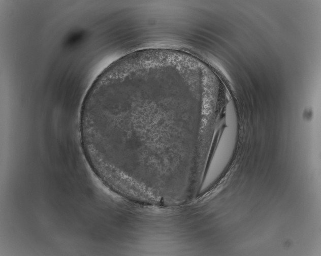 X0000090911087200708201735