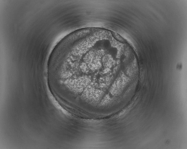 X0000090911088200708201735