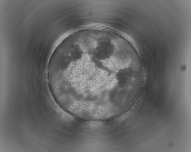 X0000090911090200708201735