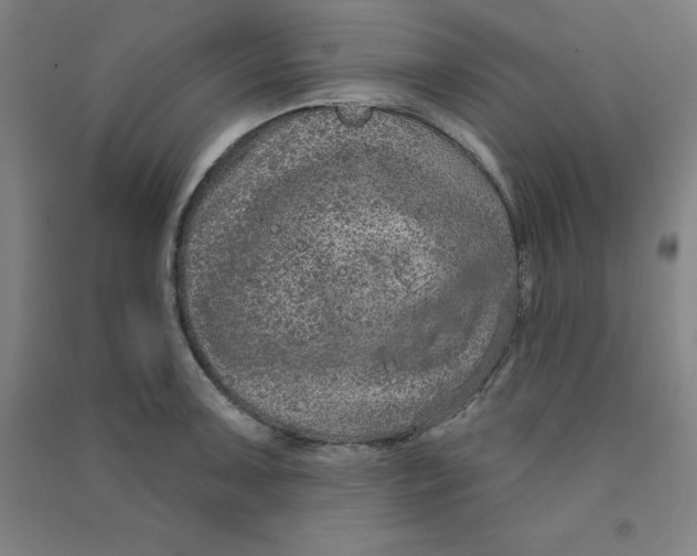 X0000090911091200708201735