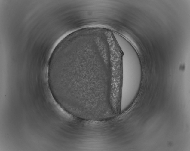 X0000090911092200708201735