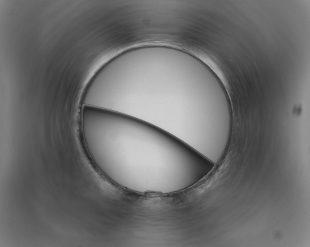 X0000090911093200708201735