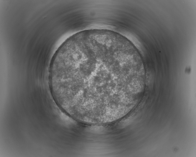 X0000090911094200708201735