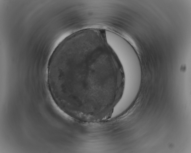 X0000090911095200708201735