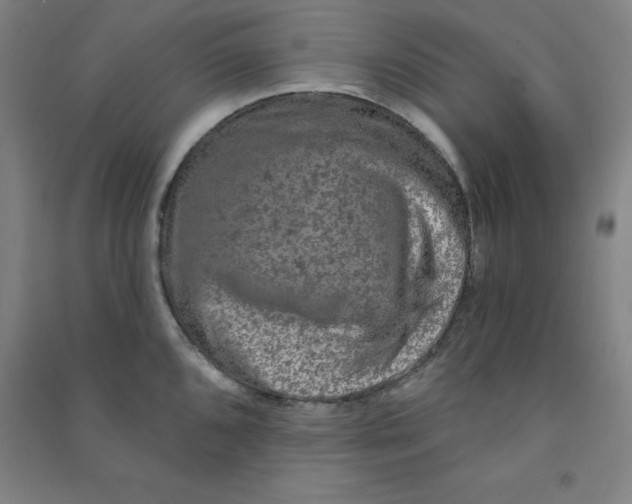 X0000090911096200708201735