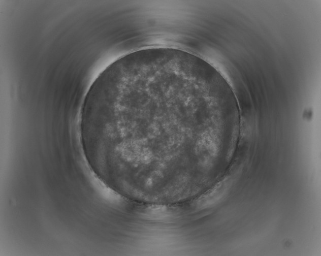 X0000090911098200708201735