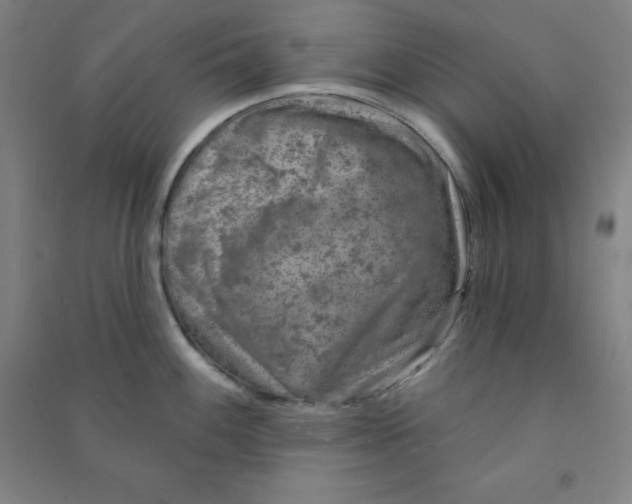 X0000090911100200708201735