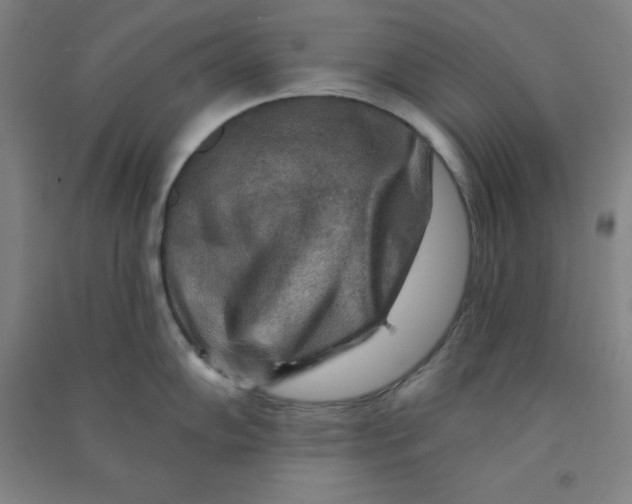 X0000090911102200708201735