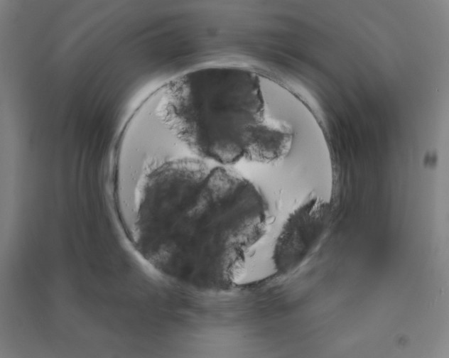 X0000090911103200708201735