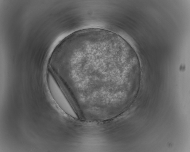 X0000090911104200708201735