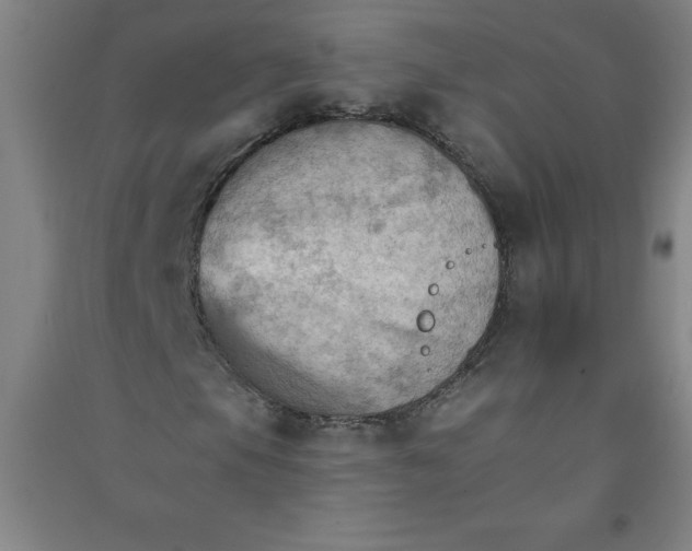 X0000090911105200708201734