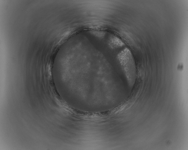 X0000090911106200708201735