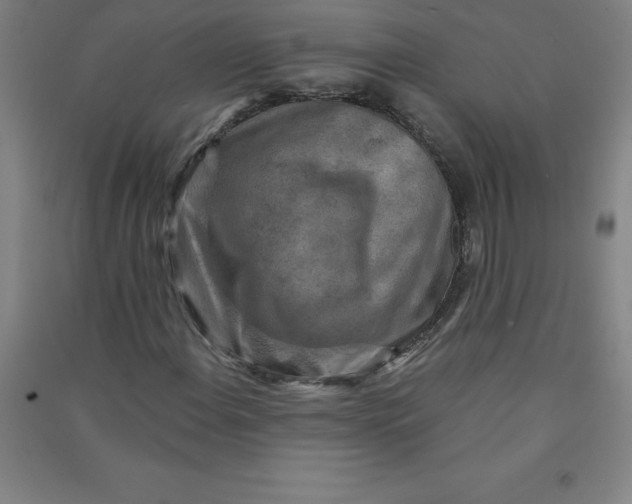 X0000090911108200708201735