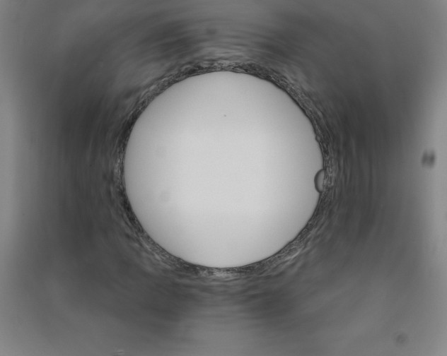 X0000090911109200708201735