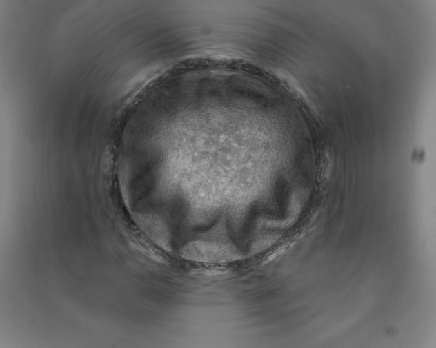 X0000090911110200708201735