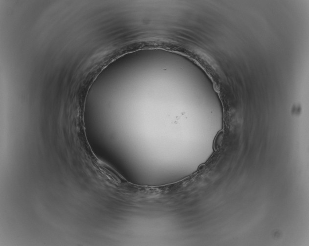 X0000090911111200708201735