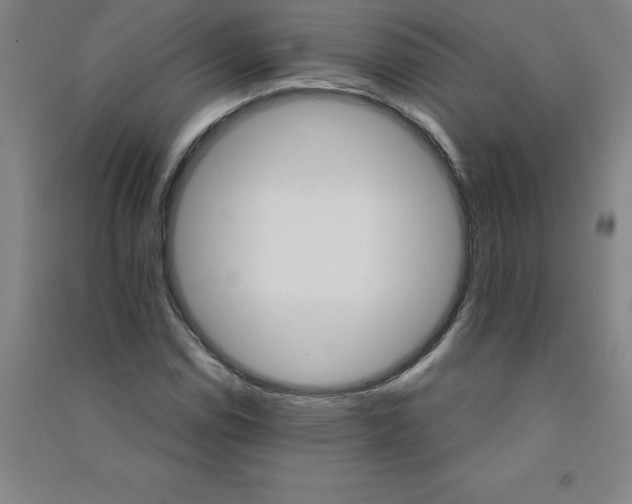 X0000090911114200708201735