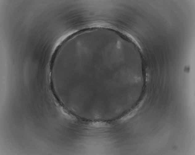 X0000090911117200708201735