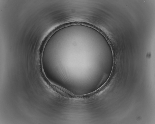 X0000090911118200708201735