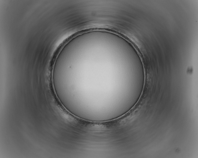 X0000090911119200708201735