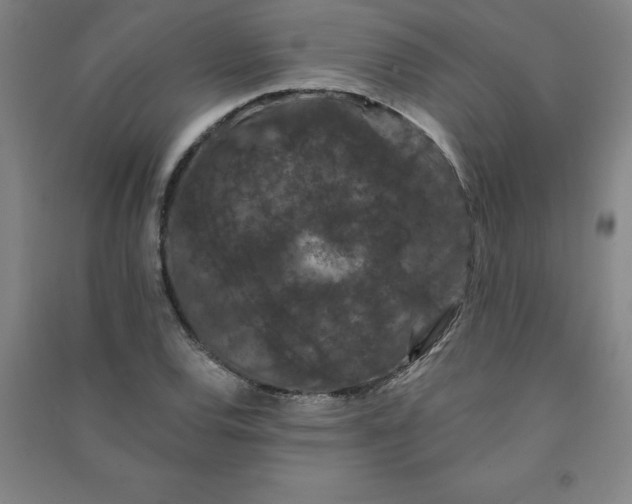 X0000090911120200708201735