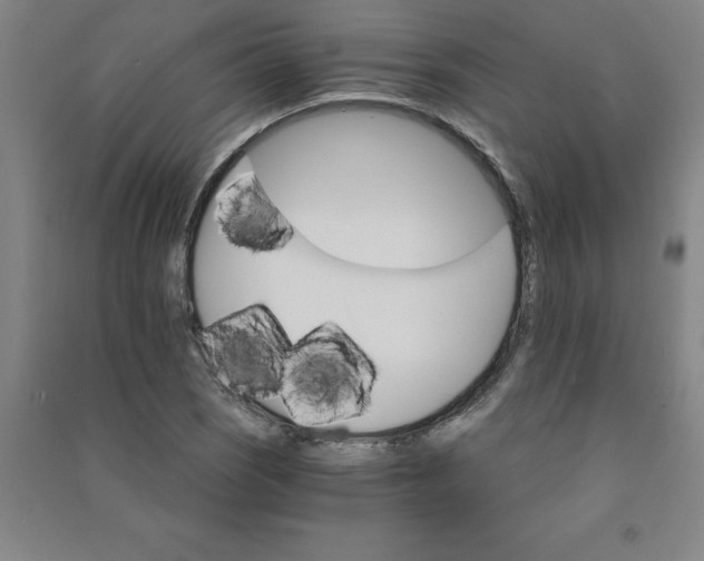 X0000090911121200708201735