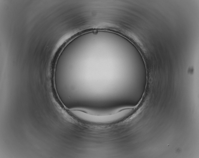 X0000090911122200708201735