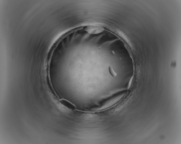 X0000090911124200708201735