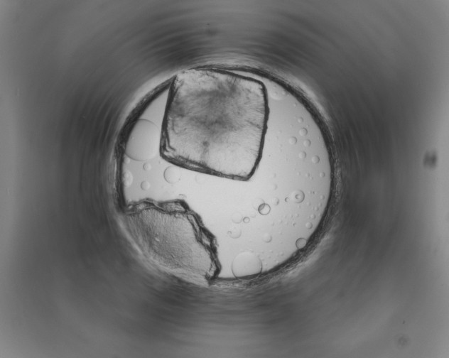 X0000090911125200708201735