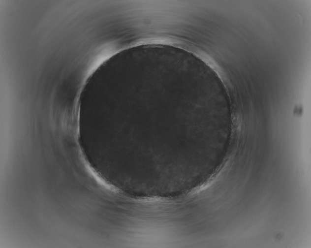 X0000090911127200708201735