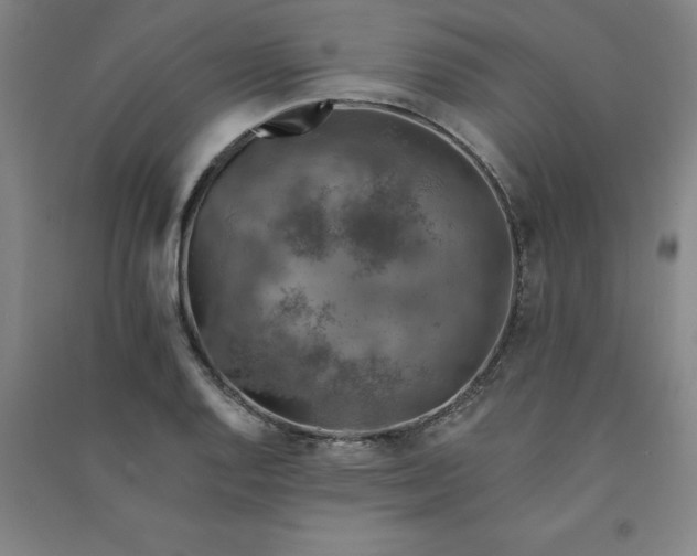 X0000090911128200708201735