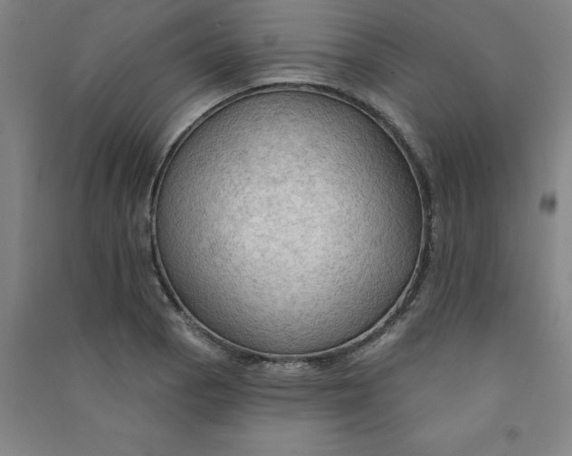 X0000090911129200708201735