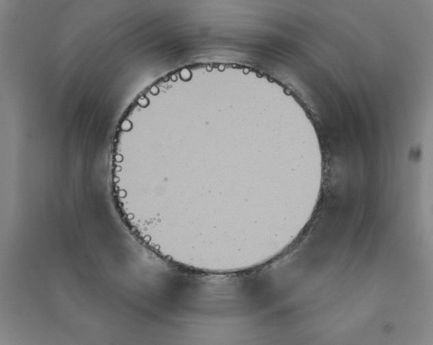 X0000090911130200708201735