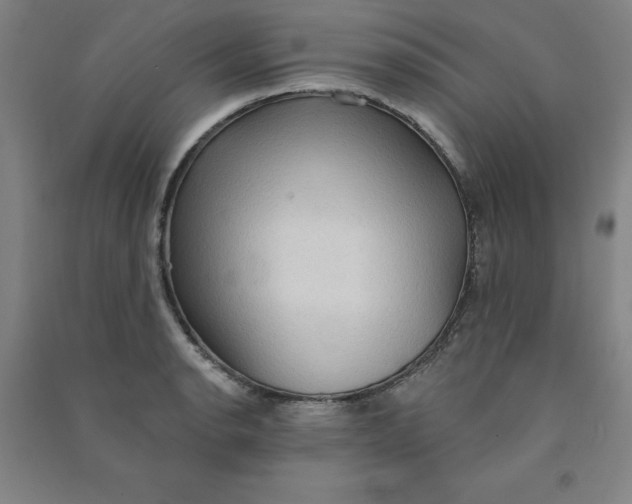 X0000090911134200708201735