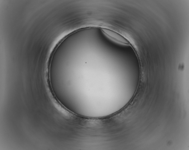 X0000090911136200708201735