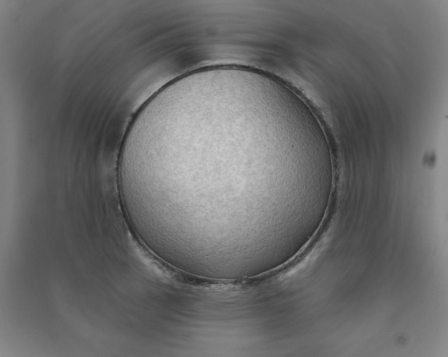 X0000090911137200708201735