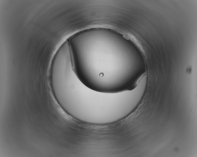 X0000090911140200708201735