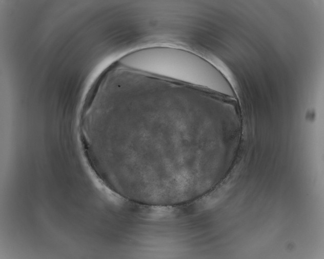 X0000090911144200708201735