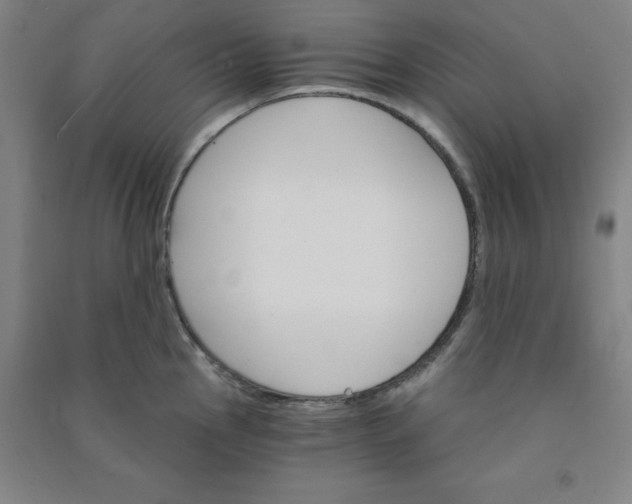 X0000090911145200708201735