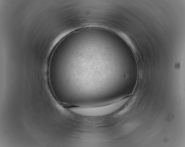 X0000090911149200708201735