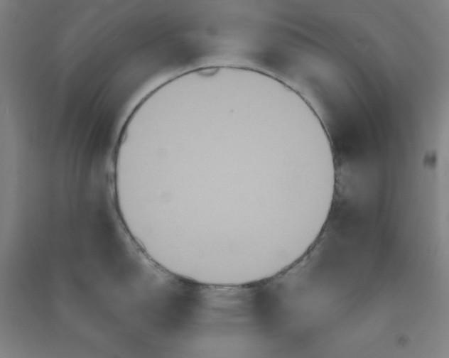 X0000090911150200708201735