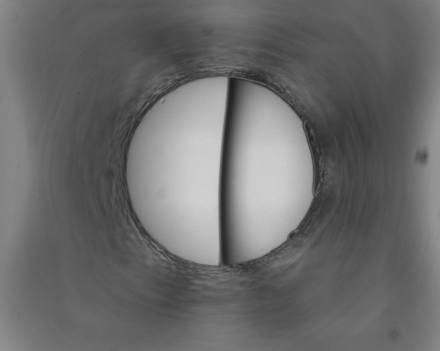 X0000090911153200708201734