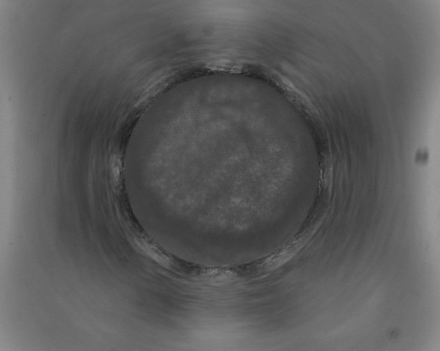 X0000090911154200708201734