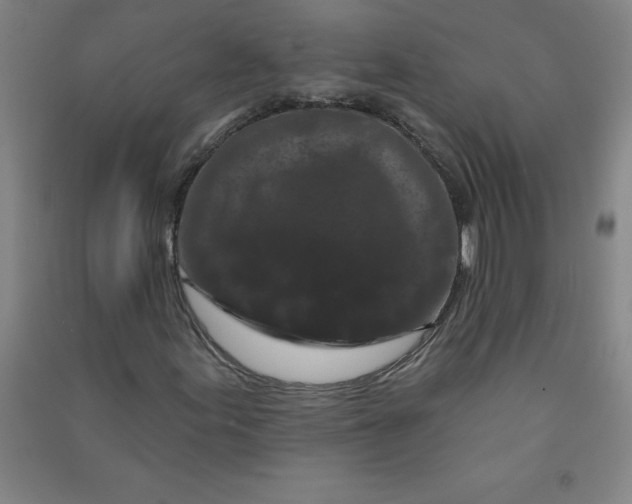 X0000090911155200708201734