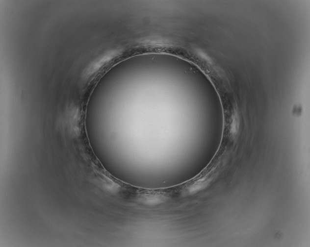 X0000090911157200708201734